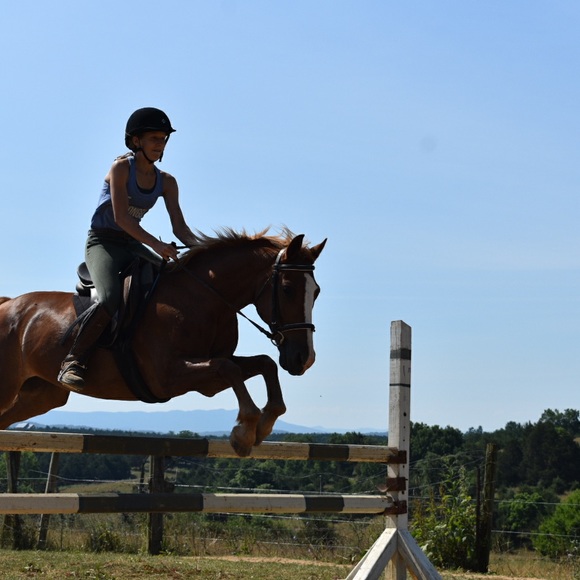 Meet your Posher, H - Picture 1 of 1